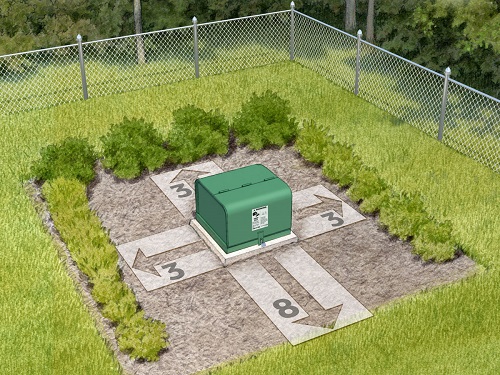 Planting Tips and Tree Health | Consumers Energy