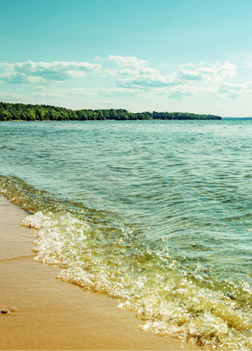 News Tips Consumers Energy