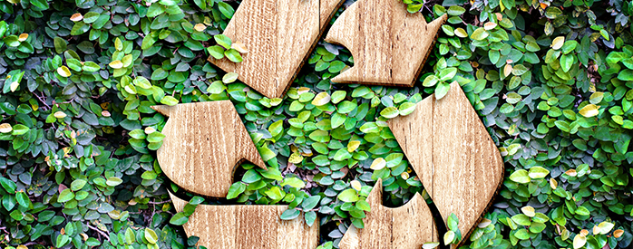Waste Management Consumers Energy
