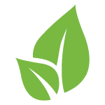 icon green leaves
