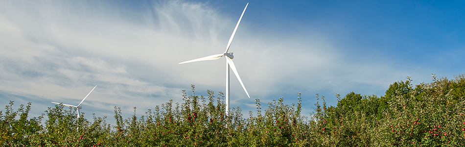 wind turbine over orchard