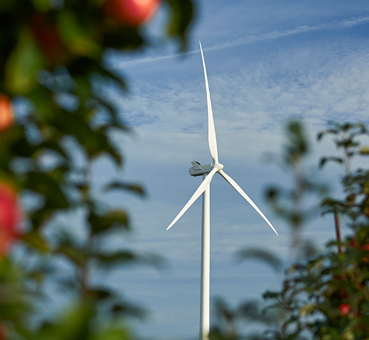 wind turbine through trees
